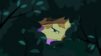 Braeburn looking in the bushes S9E17