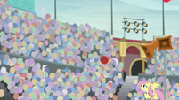 Buckball flying toward Fluttershy S9E6