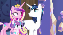 Cadance and Shining Armor look unamused MLPBGE