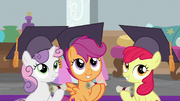 Cutie Mark Crusaders wearing graduation caps S8E12