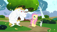 Bulk Biceps, Fluttershy and Angel.