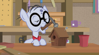 Mr. Waddle building a bird house S9E5