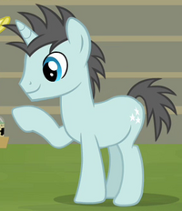Pony lights discount
