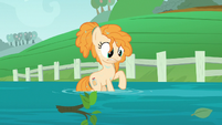 Pear Butter looking at the water flood S7E13