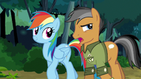 Quibble compromising with Rainbow Dash S6E13