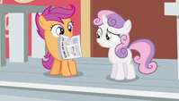 Sweetie Belle is pretty skeptical about Scootaloo's idea.