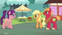 Spoiled Milk approaching Applejack and Big Mac S6E23