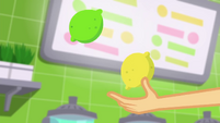 Applejack juggling a lemon and lime SS9