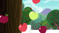 Apples fall out of the tree S6E22