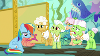 Applesauce "Applejack put you up to this?" S8E5