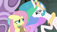 Celestia tells Fluttershy to visualize S8E7