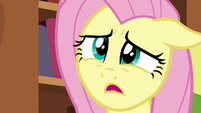 Fluttershy -would you mind helping me tidy up-- S7E12