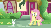 Fluttershy catches the tossed potion S9E18