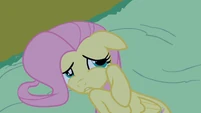Fluttershy cowering.