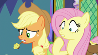 Fluttershy fails to cheer up Twilight S8E2