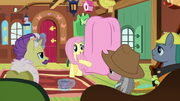 Fluttershy se dirige a los ponis expertos T7E5