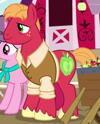 Big McIntosh My Little Pony Friendship is Magic Wiki Fandom