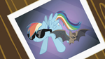 Picture of Rainbow Dash and the bat wearing sunglasses S2E07