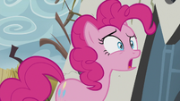 Pinkie "Or muffins!" S5E8