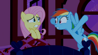 Rainbow Dash urges Fluttershy to get out of bed S02E15