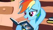 Rainbow Dash yeah S2E18