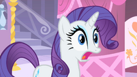 Rarity's jaw drops.