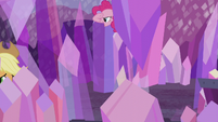 AJ and Pinkie Pie look for the obsidian S5E20