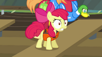 Apple Bloom angry "hey!" S4E09