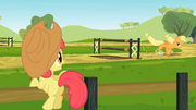 Apple Bloom watches Applejack practice S2E14