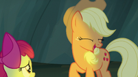 Applejack "those gosh-darn Fly-ders are gone!" S7E16