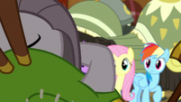 Fluttershy and Rainbow look over at Pinkie S8E18