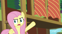 Fluttershy pointing at obstructive curtains S7E5