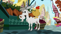 Goat and chicken near a carrot stand S9E23
