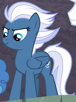 Night Glider ID S5E2.png