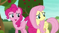 Pinkie Pie "maybe we weren't that bad" S6E18.png (859 KB)