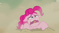 Pinkie Pie collapses with exhaustion S7E18