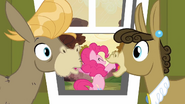 Pinkie interrupts S2E18