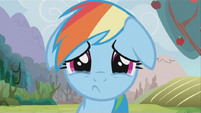 Rainbow Dash Sad S2E15