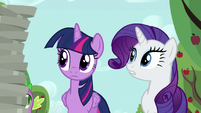 Rarity "that's a lot of empty pie plates" S6E10