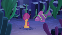 Scootaloo swims into the sea floor S8E6