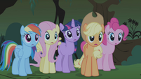 Twilight and friends surprised by Rarity S1E02
