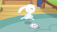 Angel, running to hint something to Fluttershy.