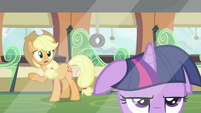 Applejack talking to Twilight 2 S2E25