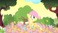 The Cutie Mark Chronicles