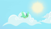 Bird flying through the sunny sky MLPRR