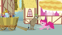 Cranky Doodle Donkey angry at Pinkie S02E18