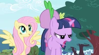 Fluttershy Spike and Twilight S01E01