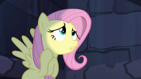 Fluttershy worried about Angel S4E03