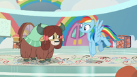 Rainbow Dash -and let yourself go!- S9E7