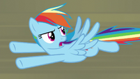 Rainbow Dash -how do you get rid of them-!- S9E21